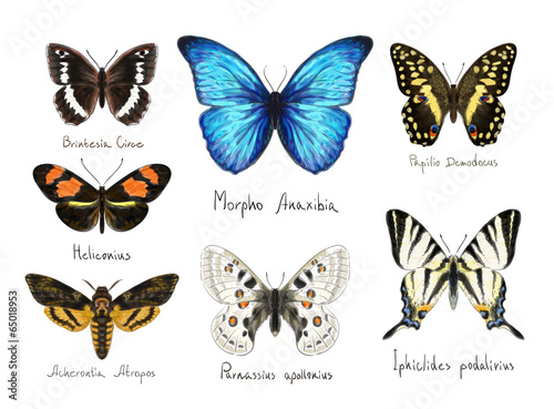 Butterflys. Watercolor imitation.
