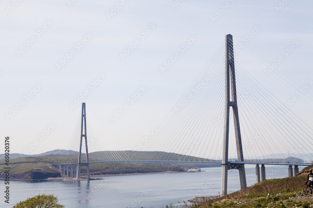 Obraz premium Duży wiszący most