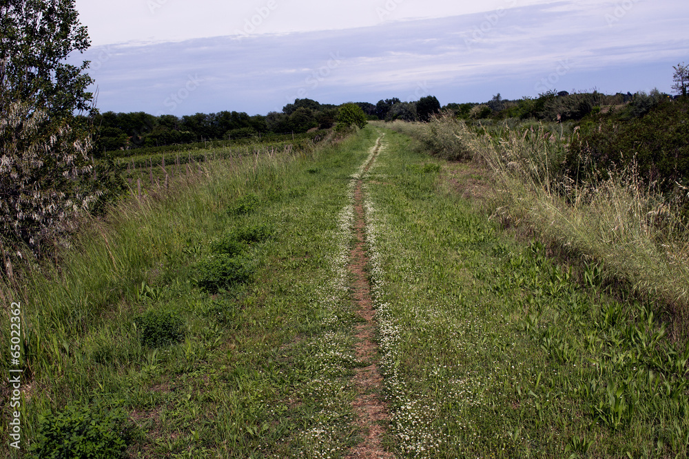 Walking road in the countryside