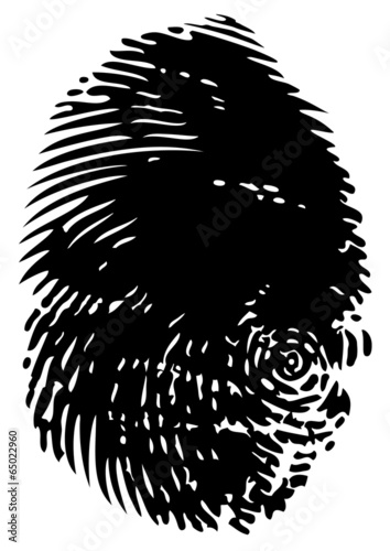 fingerprint