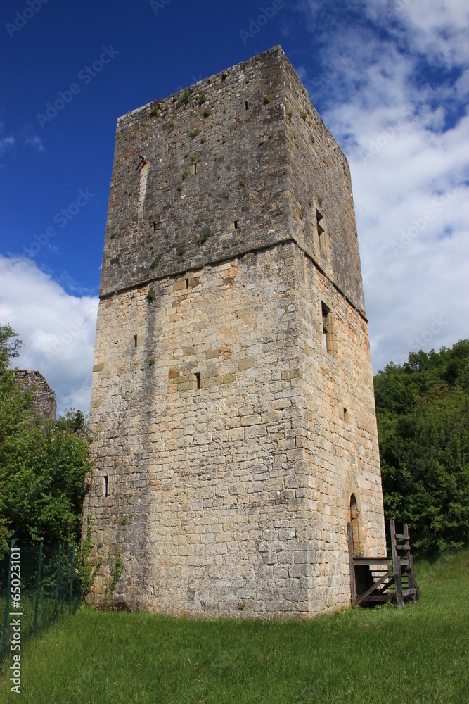 Ruines du château de Couzage.