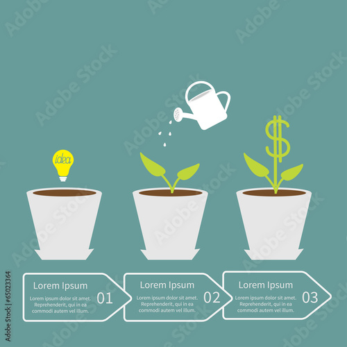 Idea bulb seed, watering can, dollar plant in pot. Financial gro