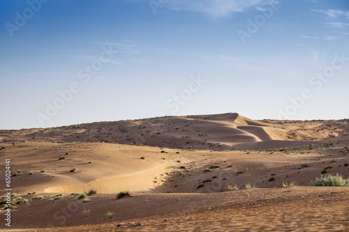 Desert Wahiba Oman