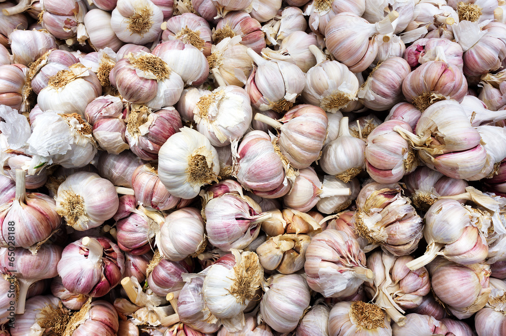 garlic heads garlic heads
