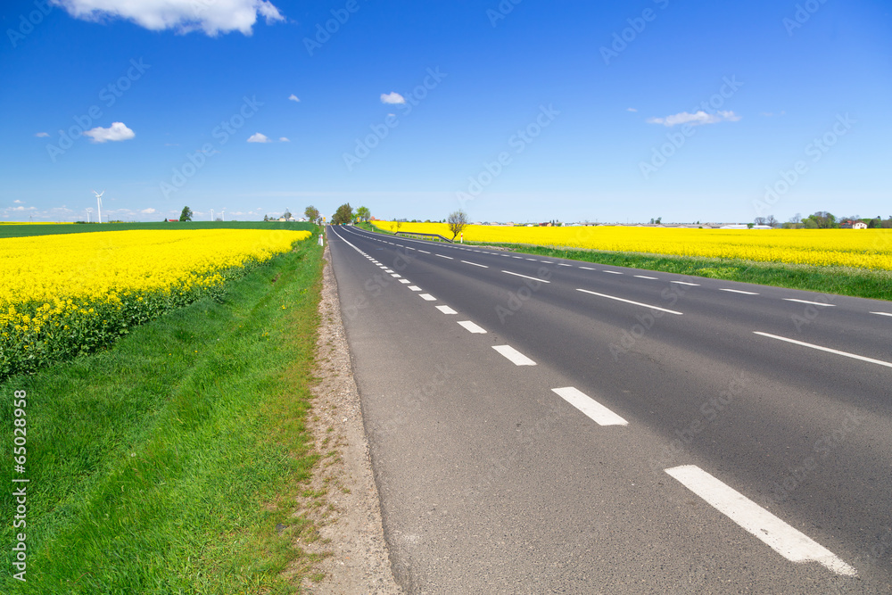 Idyllic summer road with blooming field in Poland Idyllic summer road with blooming field in Poland
