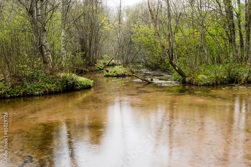 Fototapeta Naklejka Na Ścianę i Meble -  River with springs