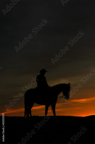 Cowboy-Silhouette © Jana Schönknecht