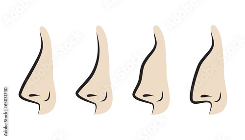 Vector illustration of noses