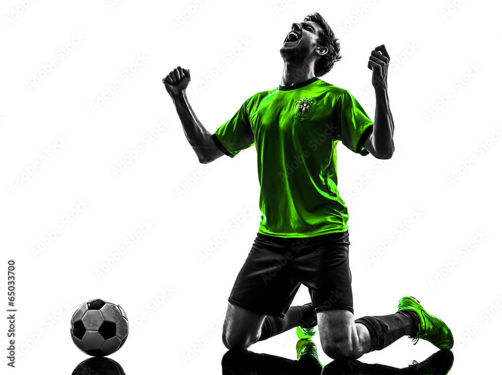 Naklejka premium soccer football player young happiness joy kneeling man silhouet