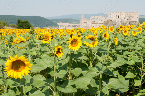 Beckov Castle
