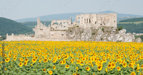 Beckov Castle