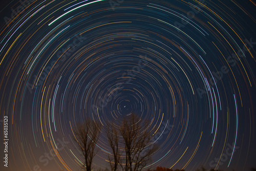 Polaris and star trails over the trees