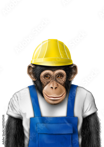 smartmonkey worker isolated photo