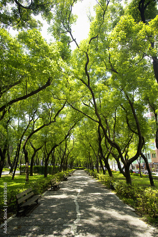 Fototapeta premium The image of beautiful nature in Asia
