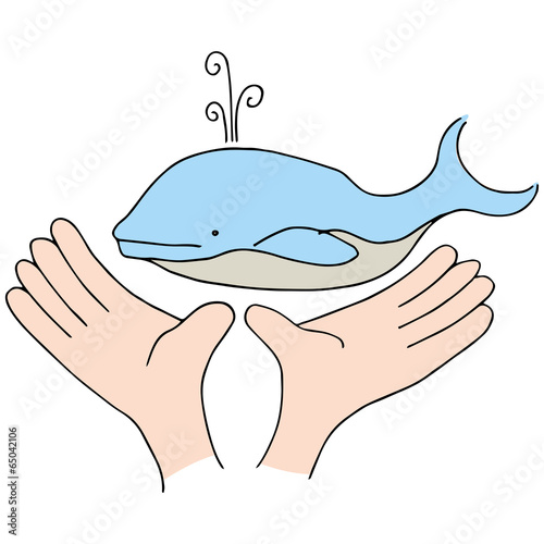 Whale Protection