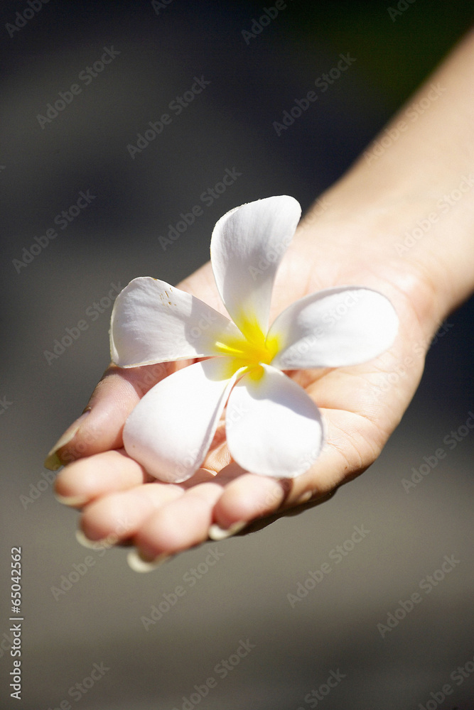 The image of holidays The image of holidays
