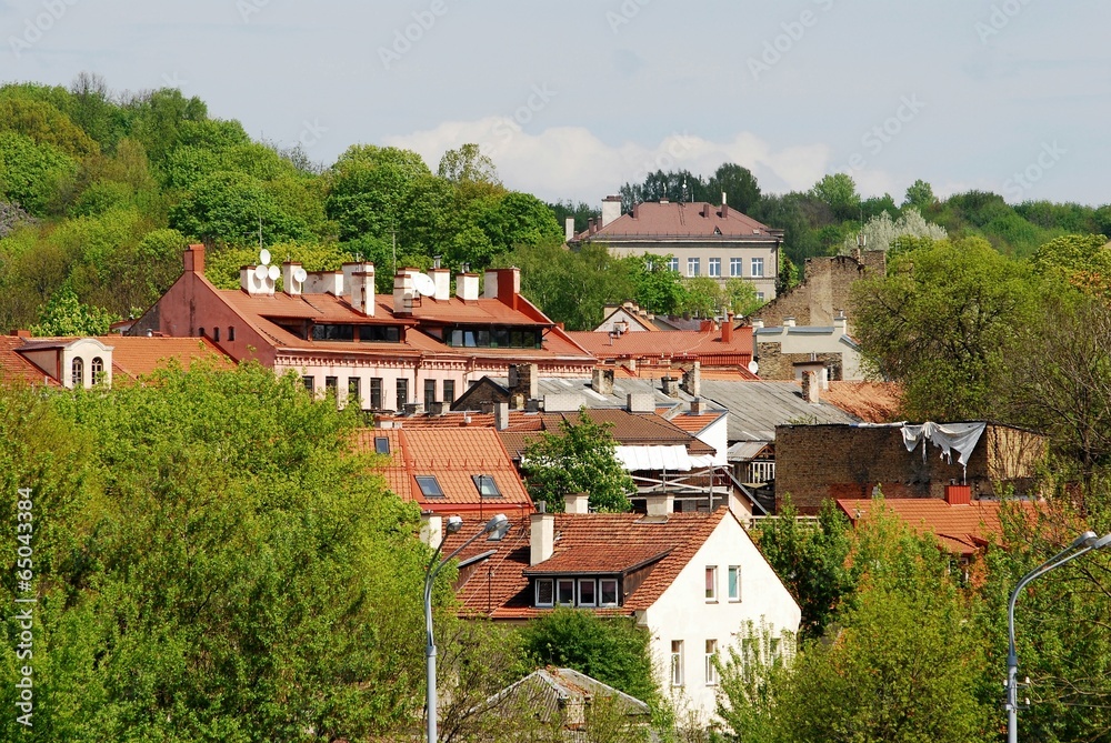 Vilnius city roofs and trees at spring time