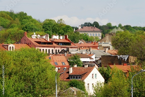 Vilnius city roofs and trees at spring time © bokstaz
