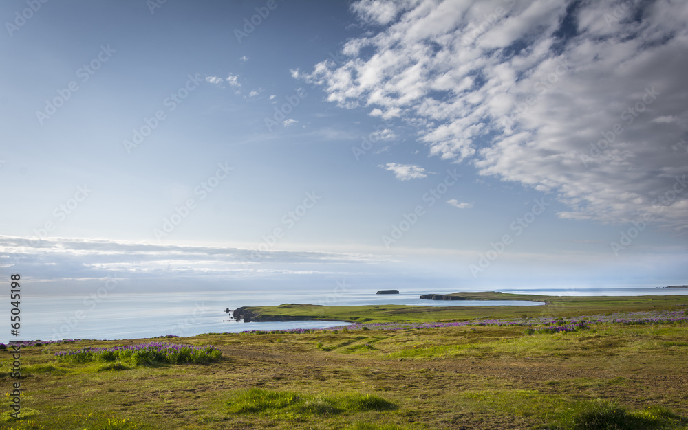 North Iceland Landscape
