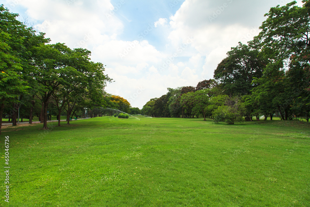 Naklejka premium Park