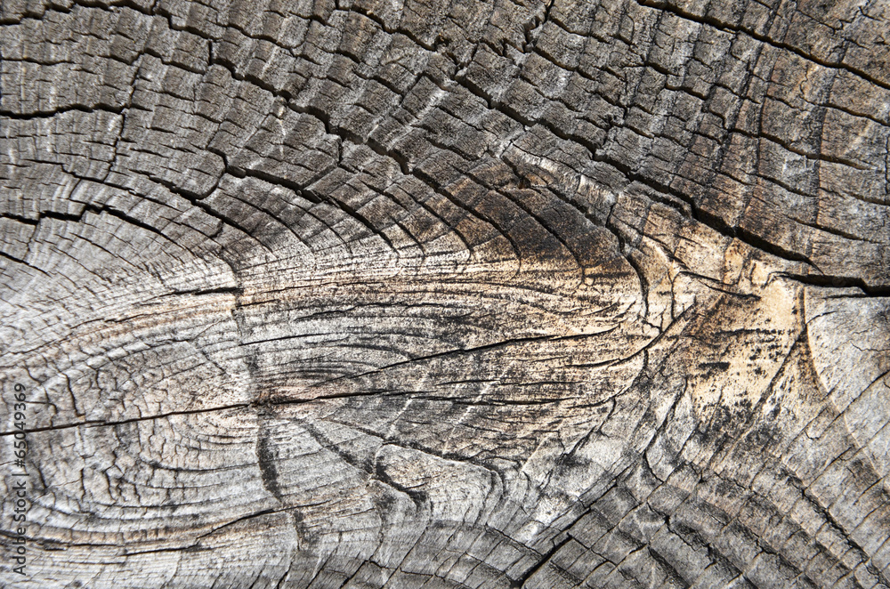 Fototapeta premium wooden background