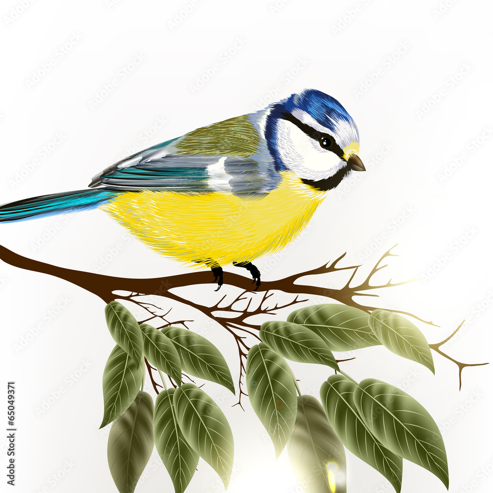 Fototapeta premium Background with vector detailed bird