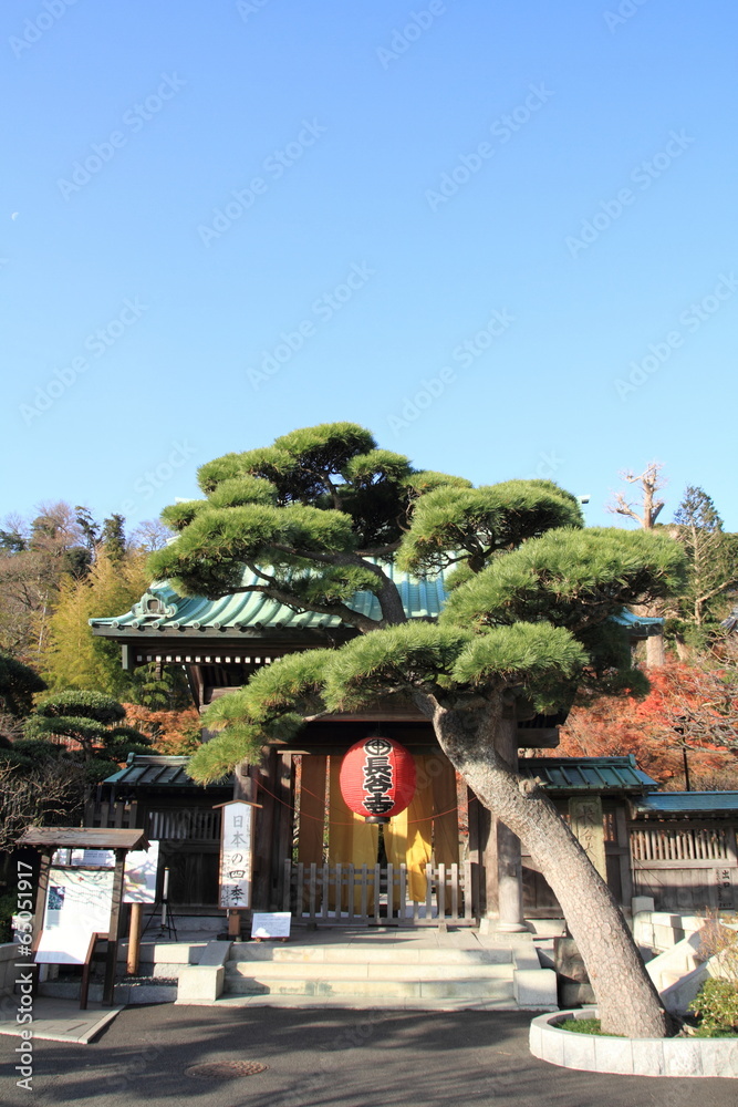 Fototapeta premium 長谷寺 山門