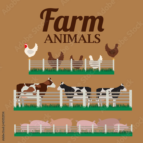 Animal design