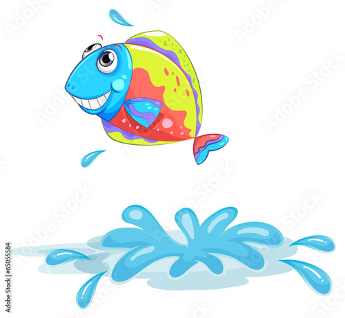 A colourful fish