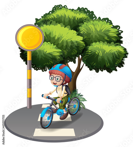A young boy at the pedestrian lane