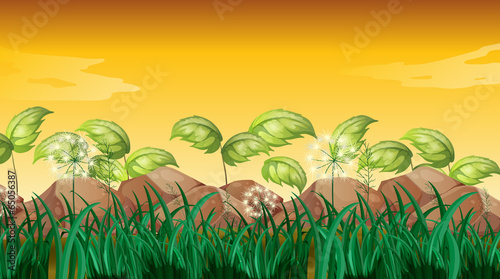 Grasses near the big rocks