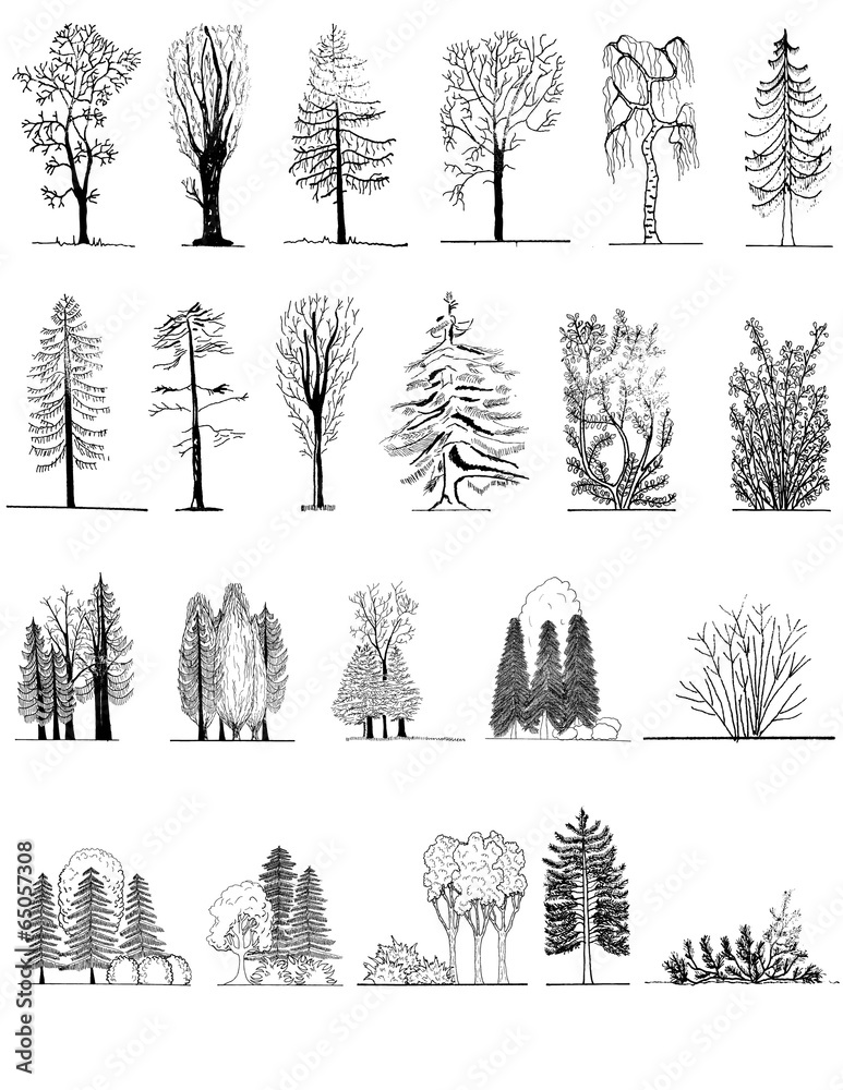 A set of tree silhouettes , for architectural design A set of tree silhouettes , for architectural design