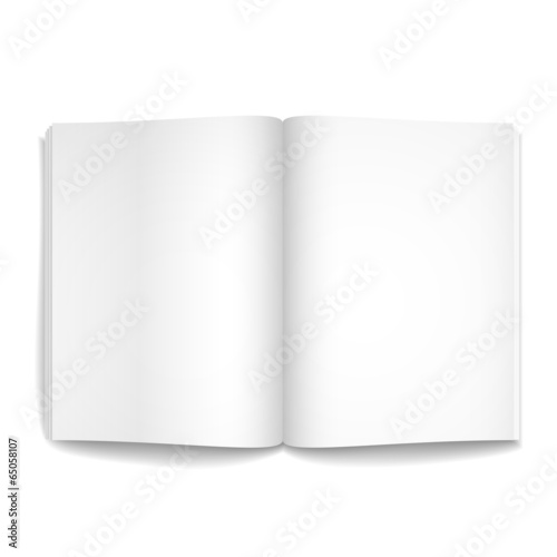 3d vector blank opened magazine template