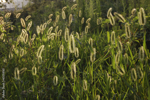 Photography The image of landscape