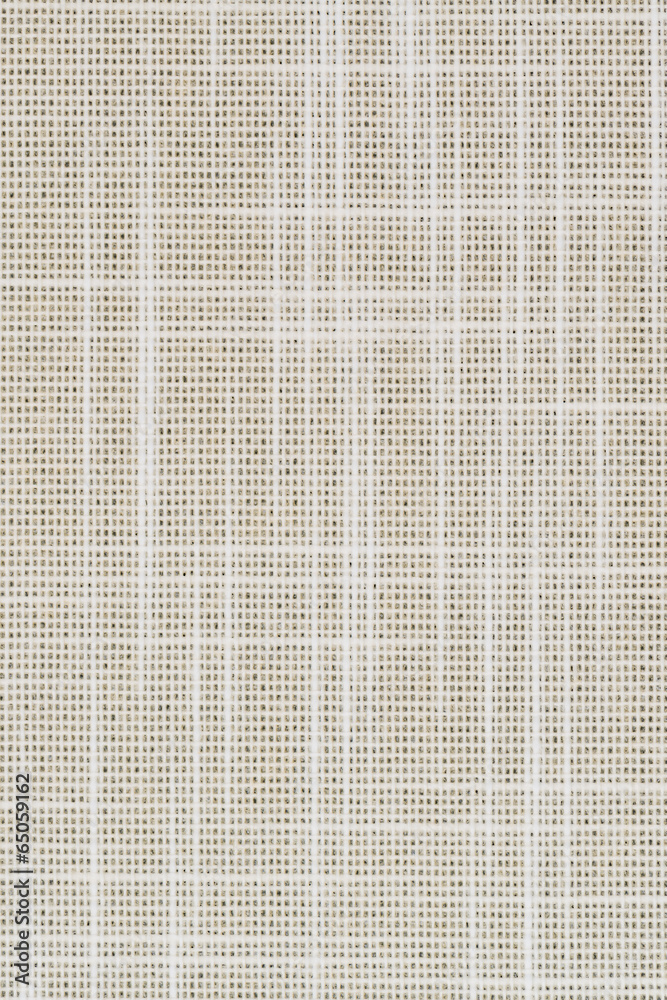 Fototapeta premium Beige vinyl texture