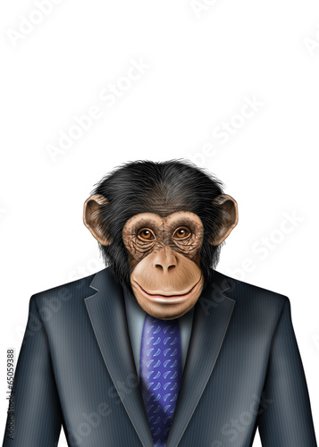 smartmonkey business isolated photo