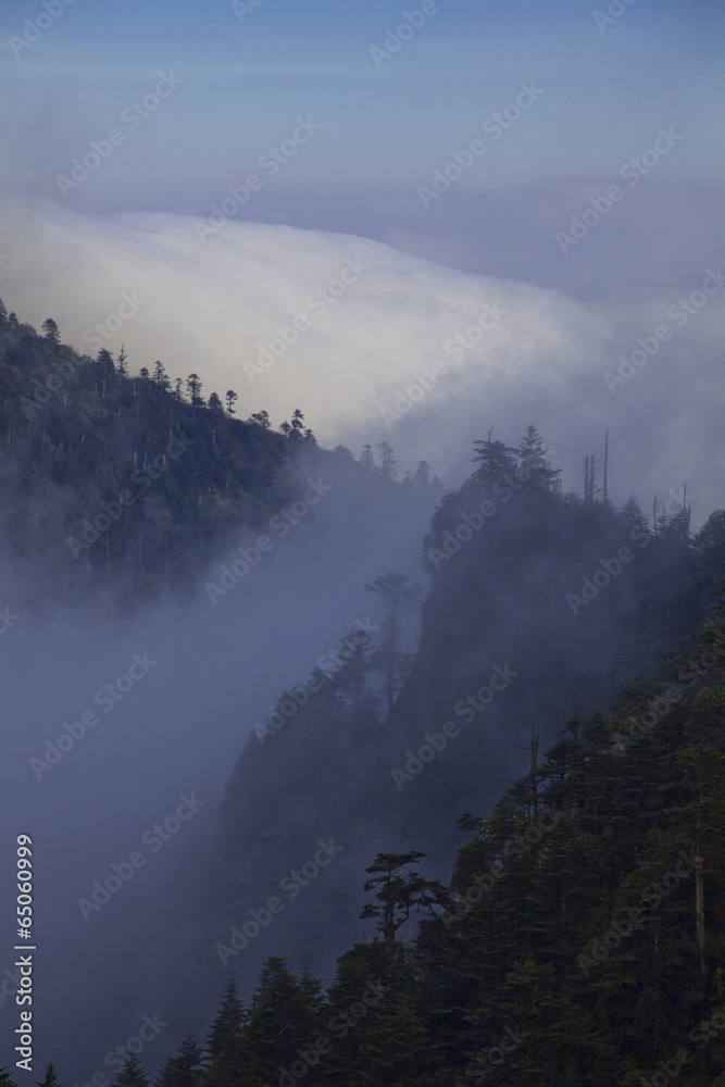 The image of landscape The image of landscape