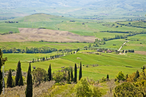 The Tuscan hills