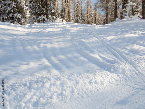 A walk through the snow beside the ski run © gertect