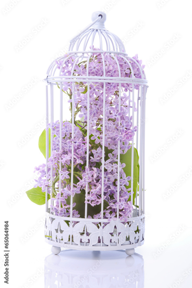 Naklejka premium Metal cage with lilac flowers inside