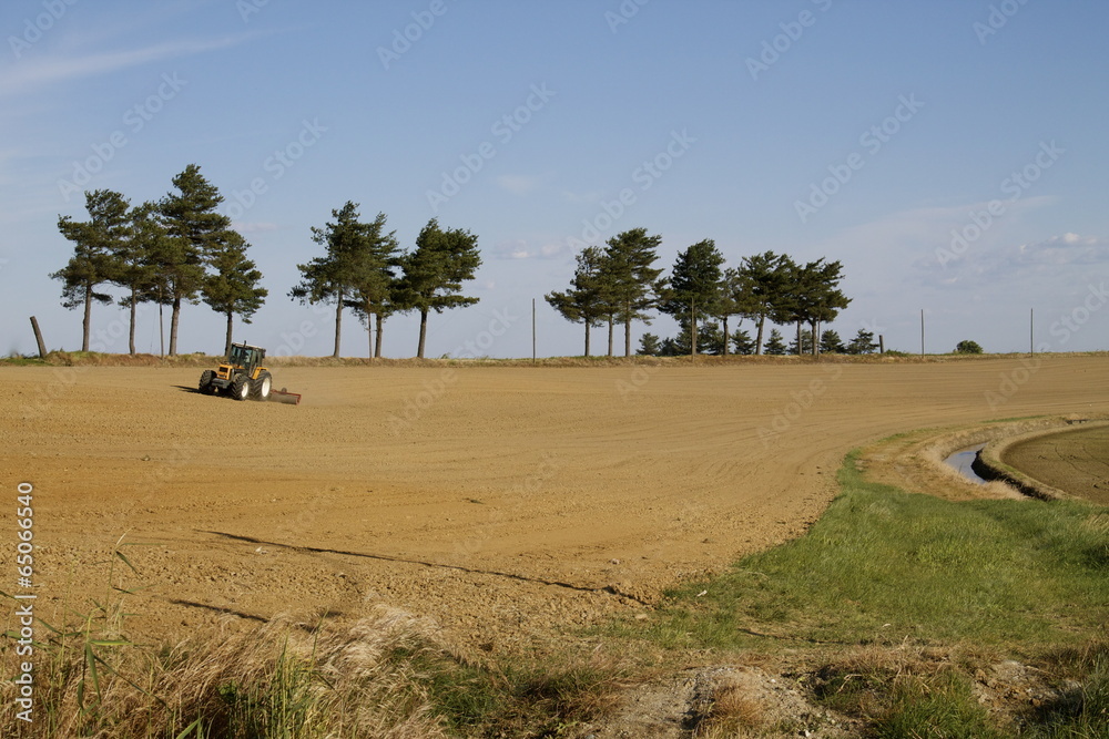 Obraz premium Terreno agricolo