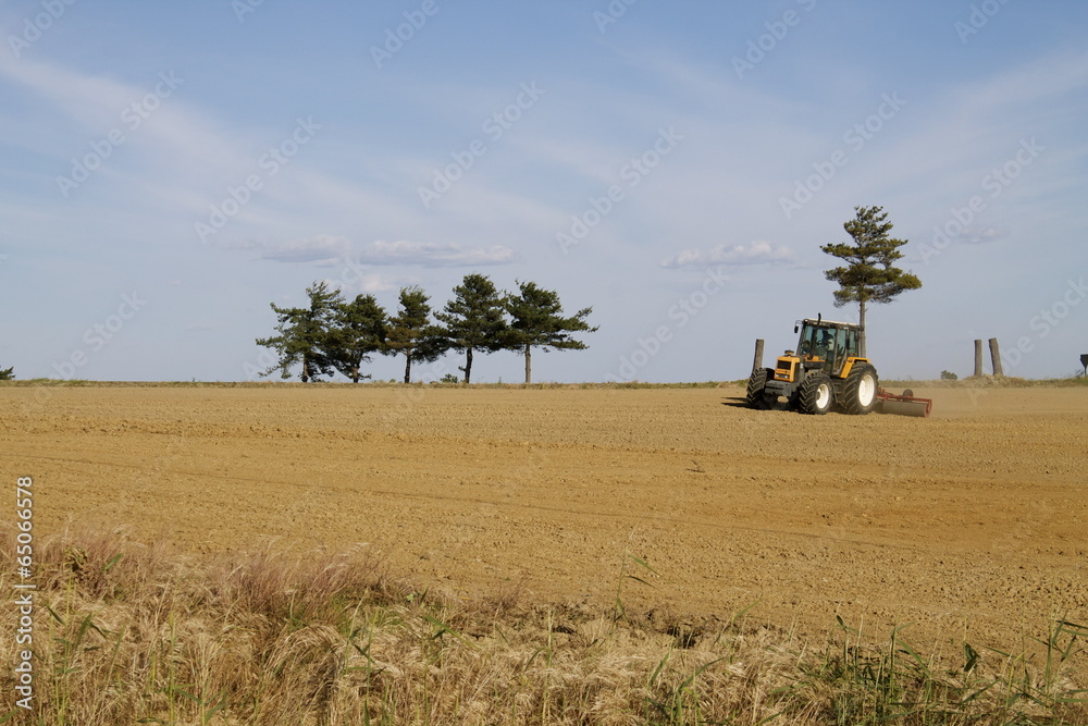 Fototapeta premium Terreno agricolo