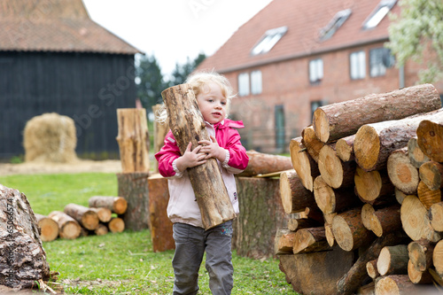 Holz stapeln auf dem Bauernhof photo