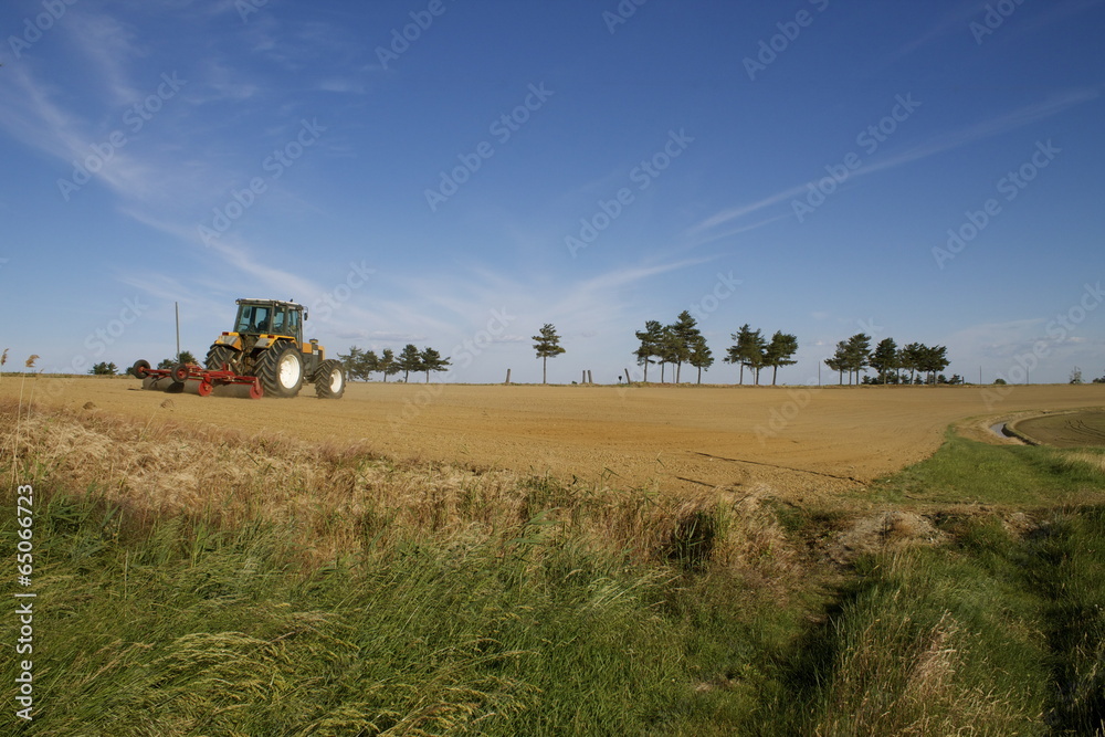 Fototapeta premium Terreno agricolo