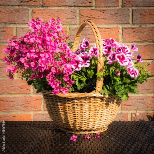 Fototapeta Naklejka Na Ścianę i Meble -  Korb mit Sommerblumen auf dem Balkon