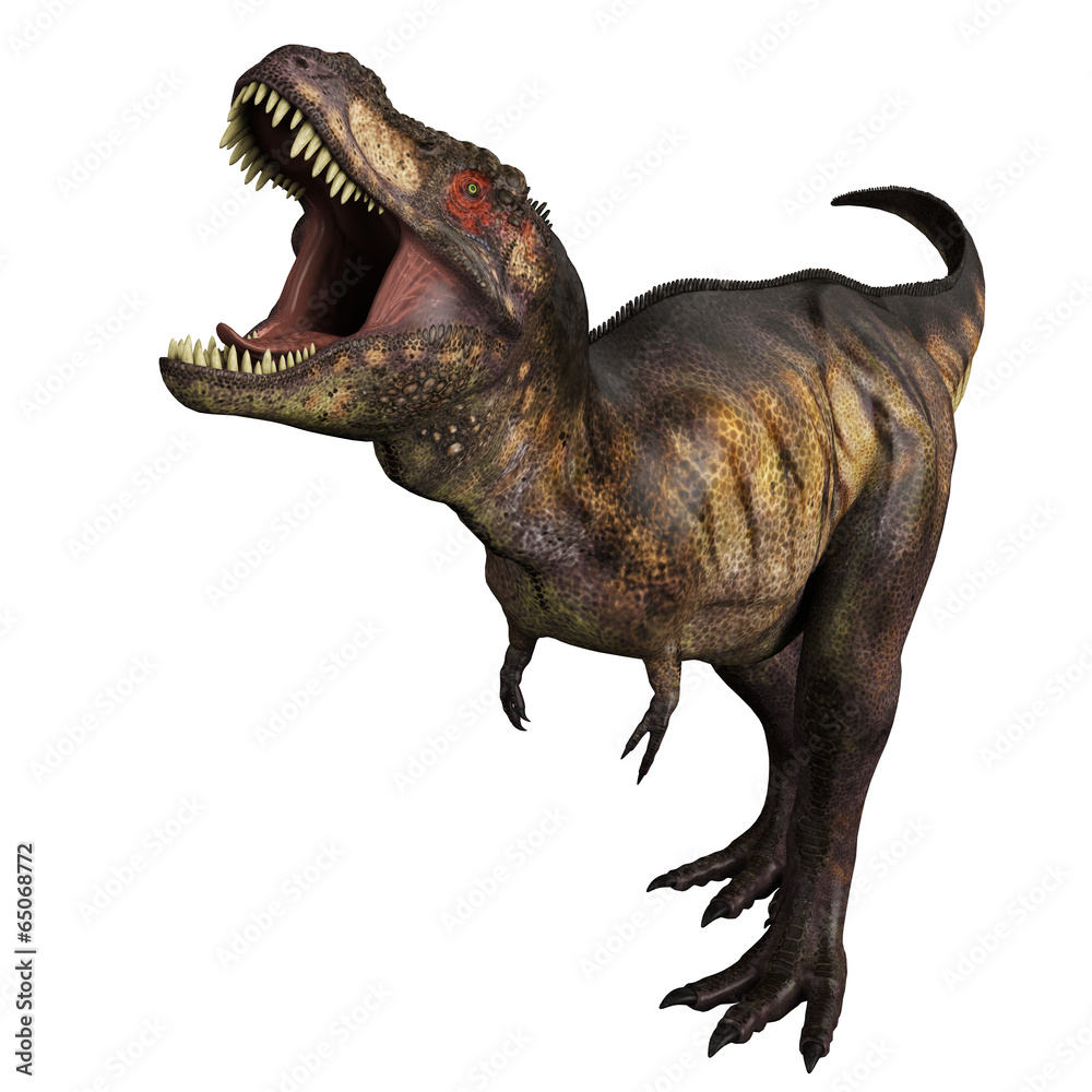Fototapeta premium t-rex