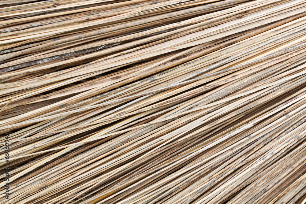unuaual abstract background of dried plant stick unuaual abstract background of dried plant stick