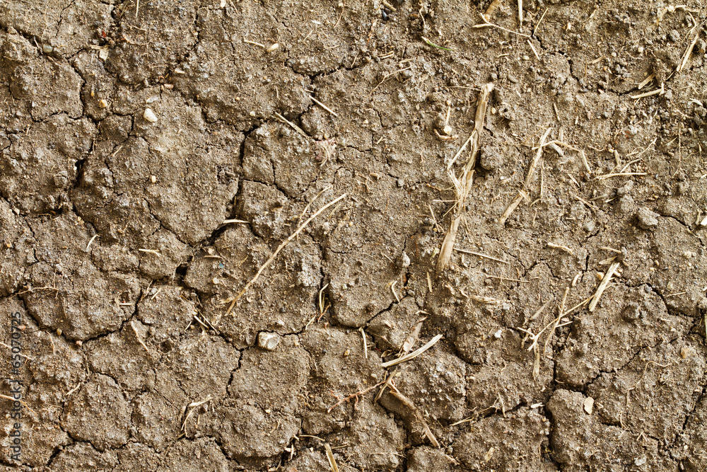 dryland or wasteland background, concept of global warming dryland or wasteland background, concept of global warming