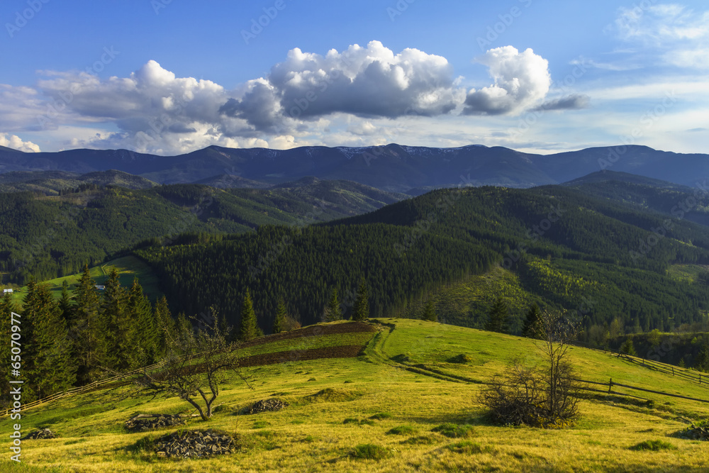 Carpathians Mountains