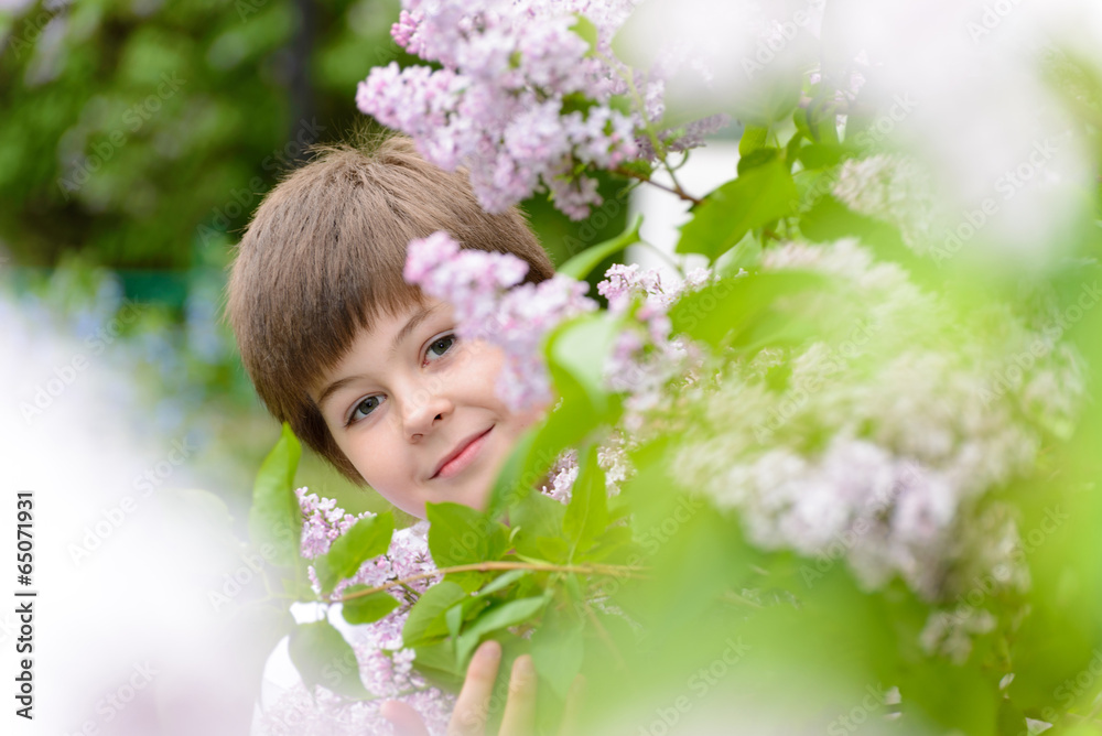 A boy 10 years near blooming lilacs A boy 10 years near blooming lilacs